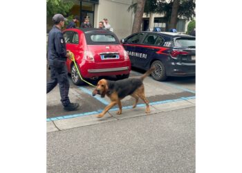 'Ipotesi sequestratori in collegamento con avvocato'