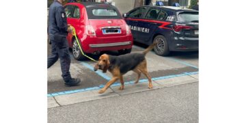 'Ipotesi sequestratori in collegamento con avvocato'