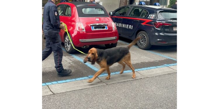 'Ipotesi sequestratori in collegamento con avvocato'
