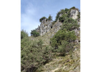 Il trentino 54enne è ruzzolato per circa 200 metri