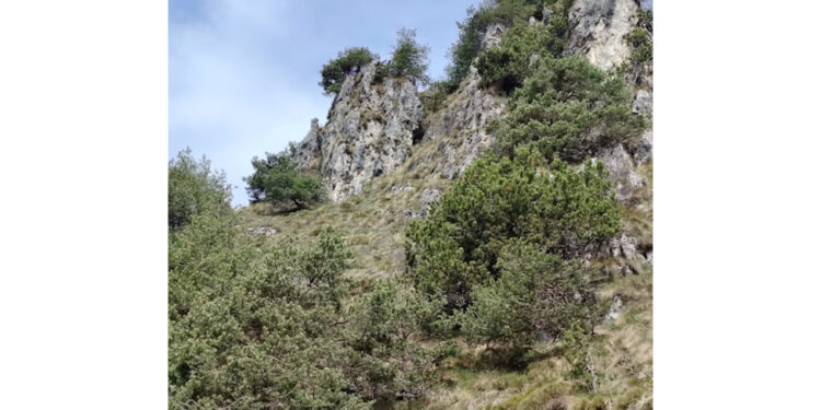 Il trentino 54enne è ruzzolato per circa 200 metri