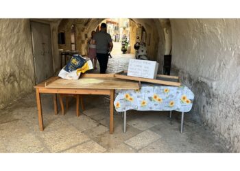Braccia incrociate e banchi vuoti. 'Abbandonate dal Comune'
