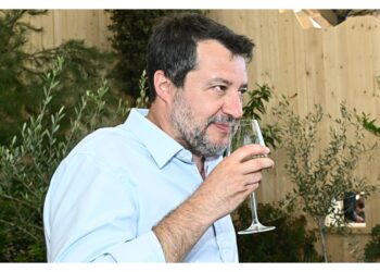 Quesiti sono un'arma politica
