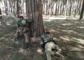 Operazioni dei carabinieri coi Cacciatori di Calabria
