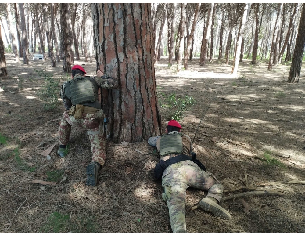 Operazioni dei carabinieri coi Cacciatori di Calabria