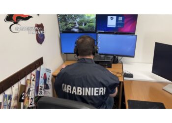 Operazione della Dda di Lecce. Sequestri eroina e cocaina