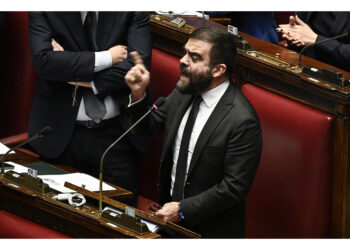Grimaldi alla maggioranza: "fate schifo"