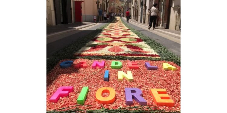 Il volto del Pontefice riprodotto con tappeto di fiori