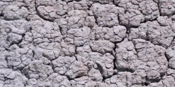 Lo prevede l'Organizzazione meteorologica mondiale