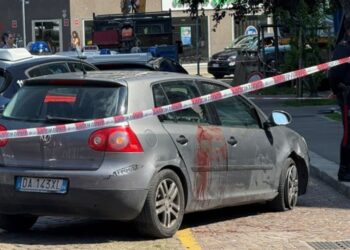 Aggressione durante acquisto droga a Milano. Rottweiler muore
