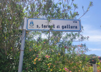 Donna ha cercato anche informazioni su come avvelenare persone