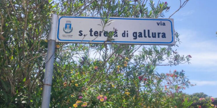 Donna ha cercato anche informazioni su come avvelenare persone