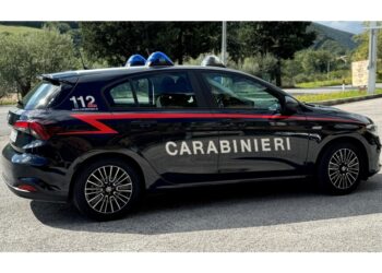 Indagini dei Carabinieri. Vittima è andata in ospedale a Udine