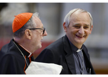Il cardinale