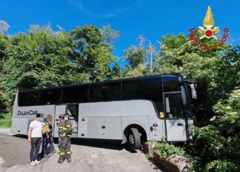 Bus fuori strada