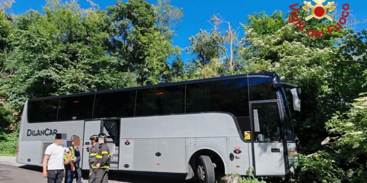 Bus fuori strada