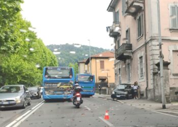 Napoleona incidente
