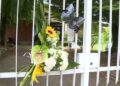 Fiori per la maestra morta sul bus di rientro dalla gita