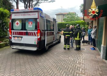 Incendio Albate