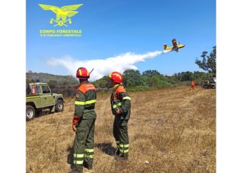 Ieri 20 roghi complessivi. Canadair in azione e case evacuate