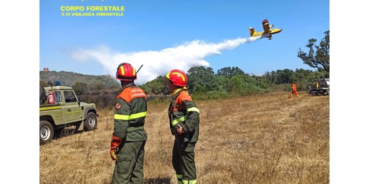 Ieri 20 roghi complessivi. Canadair in azione e case evacuate