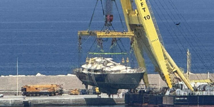Nei prossimi giorni verrà recuperato l'albero