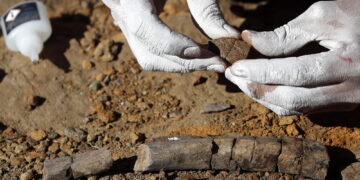Il ritrovamento nella Chapada dos Guimarães in Mato Grosso