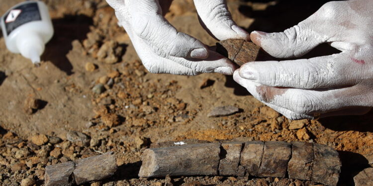 Il ritrovamento nella Chapada dos Guimarães in Mato Grosso