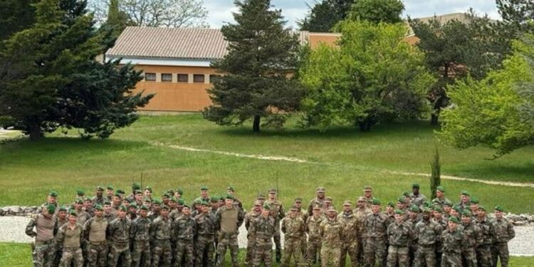 Guastatori alpini in Provenza con i legionari francesi