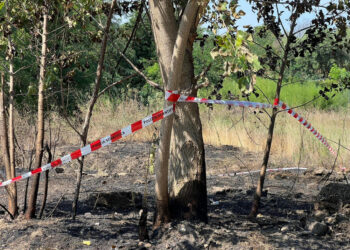I vigili del fuoco stavano domandò le fiamme. Indaga l'Arma
