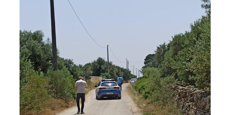 È detto nell'ordinanza di convalida dell'arresto di Giannattasio
