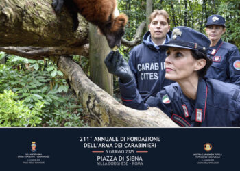 Da domani al 6 giugno per 211mo fondazione