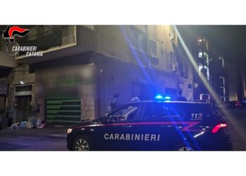 Azione di contrasto dei Carabinieri