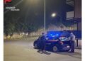 Donna denunciata a Gioia Tauro