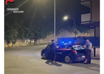 Donna denunciata a Gioia Tauro