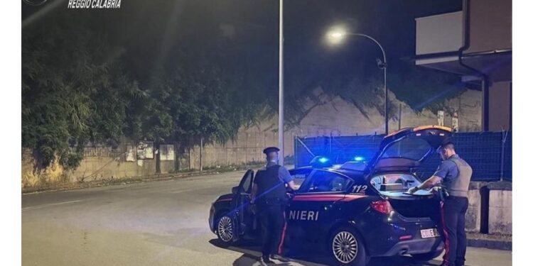 Donna denunciata a Gioia Tauro