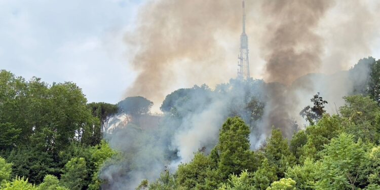 Al lavoro vigili fuoco anche con elicottero