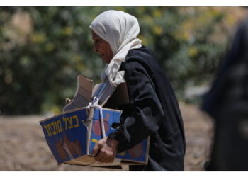 Gaza Foundation