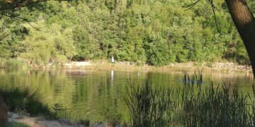 Al lago Sinizzo in azione Vigili del Fuoco