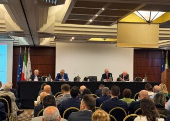 'Eccesso norme nuoce al funzionamento della macchina comunale'