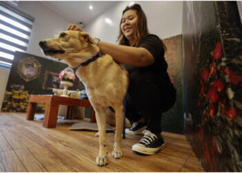 Fino a 5 anni di carcere per chi sottopone animali alla pratica