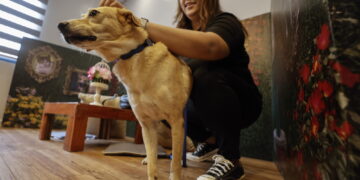 Fino a 5 anni di carcere per chi sottopone animali alla pratica