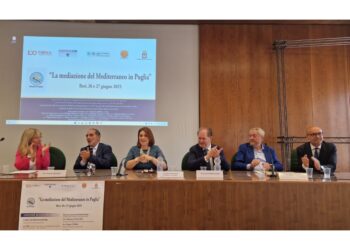 Focus in Camera di commercio a Bari
