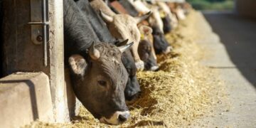 Assessore Beduschi: 'Tempestività e rigore