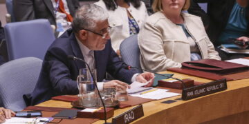L'ambasciatore al Consiglio di Sicurezza dell'Onu