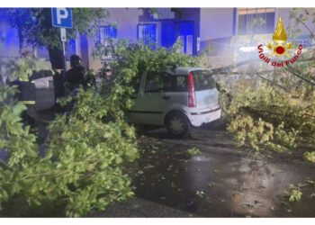 Anche un incendio per fulmine e chicchi grandine enormi