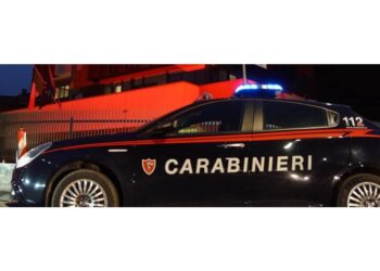 Intervenuti i carabinieri