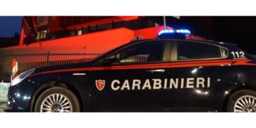 Intervenuti i carabinieri