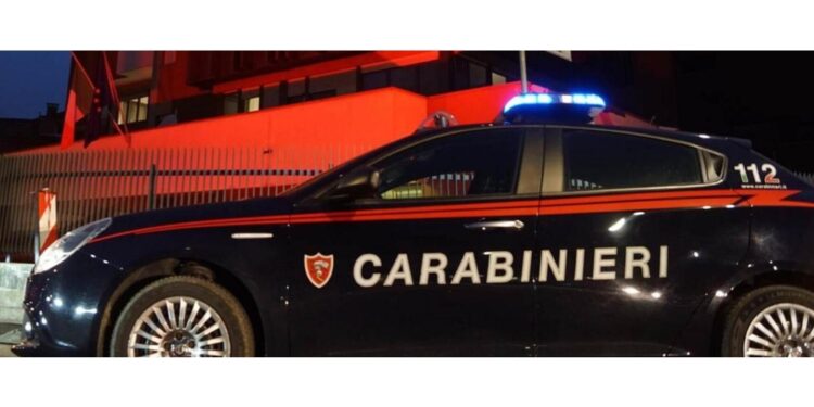 Intervenuti i carabinieri