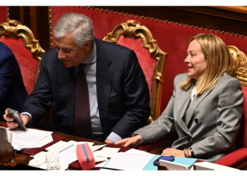 Ringrazio il ministro Tajani per le giornate complesse